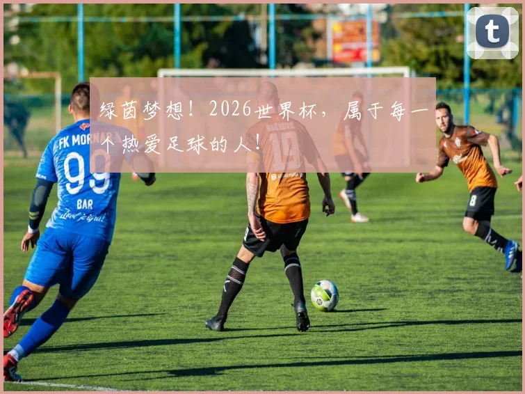 绿茵梦想!2026世界杯,属于每一个热爱足球的人!